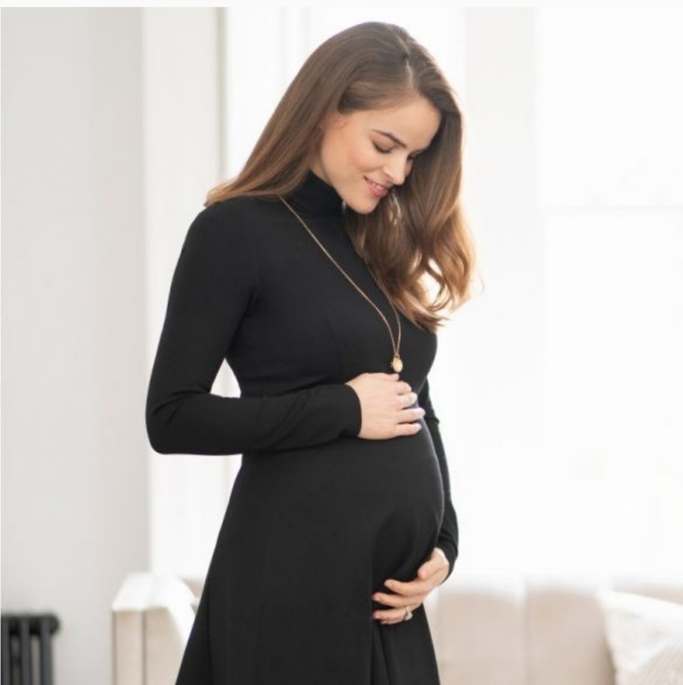 NWT SERAPHINE Maternity Vanessa Turtleneck Long Sleeve Skater Dress